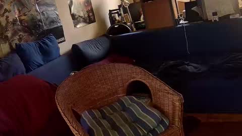 Sven online show from October 30, 1:23 pm