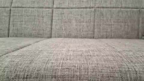 XXL online show from September 24, 7:59 am