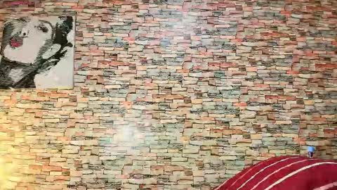 Aaron y Antonella online show from March 31, 1:55 pm