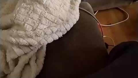 abepenix7 online show from April 2, 3:36 am