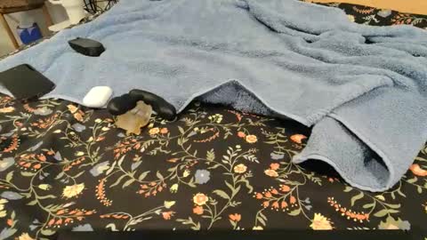 Naked Gentleman online show from December 16, 2:30 am