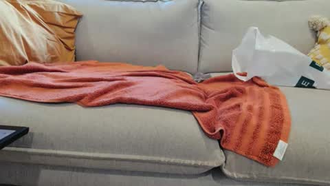 Naked Gentleman online show from March 28, 6:15 am