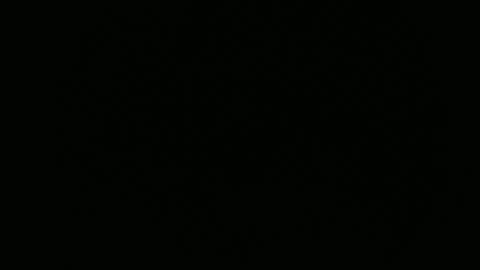 aCACiAs2022 online show from March 19, 10:21 am