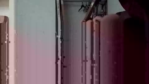 not going to tell you online show from March 29, 7:15 pm