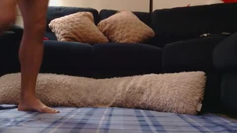 ENIGMA TZX5114 online show from February 9, 11:36 am