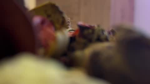 AdamLewiss online show from April 7, 11:01 am