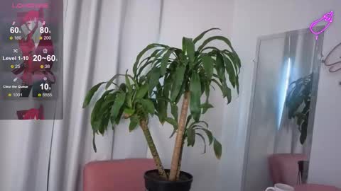 Sofi online show from January 12, 10:17 pm