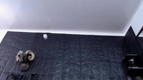  Miss Agata  online show from February 28, 6:31 pm