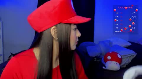 Cat online show from November 1, 5:28 am