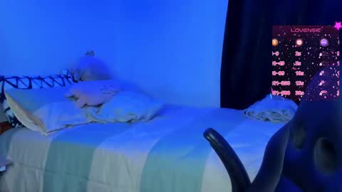 Cat online show from February 27, 7:08 am