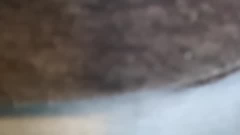 aj297914 online show from February 17, 3:16 am