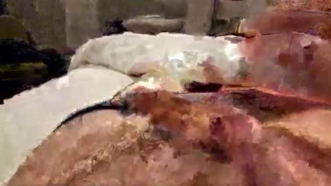 alfred2349 online show from March 9, 8:13 pm