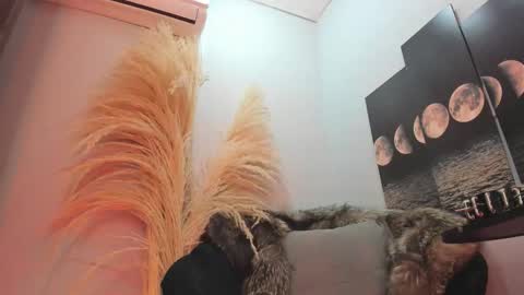 ALICE  online show from November 11, 4:03 am