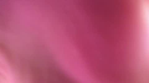 from wonderland online show from January 17, 3:32 pm