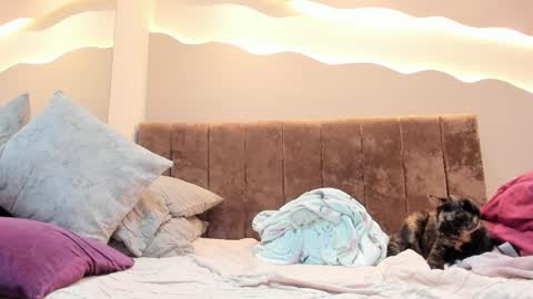 Alisson online show from April 1, 1:41 pm