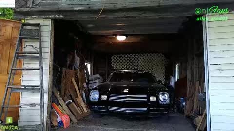 Allan arod online show from September 19, 8:01 pm