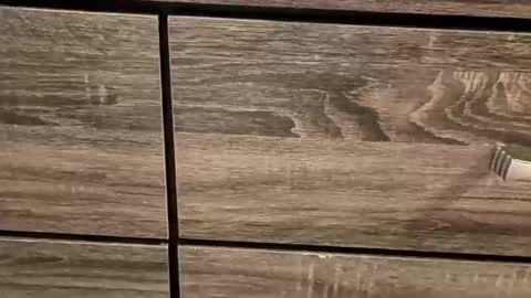 Stormy Day  online show from February 27, 1:15 pm