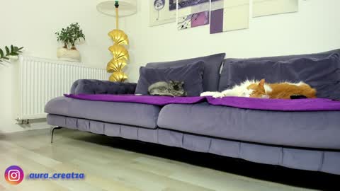 Amalia Nilsson  online show from September 28, 2:26 pm