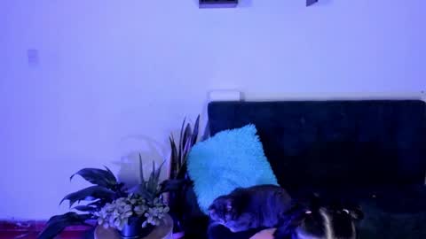 Vivi  online show from May 23, 4:19 am