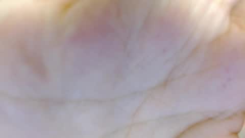 Snapshot of amelia_fry chatting on March 5, 4:24 am amelia_fry online show from March 5, 4:24 am