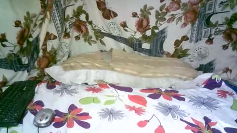 aminah01 online show from February 10, 7:33 am