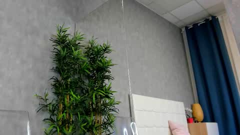 amirarees online show from October 29, 6:48 am