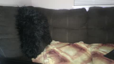 amiri_sweater online show from February 25, 6:36 am