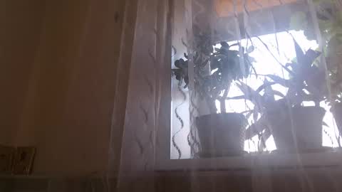 miss unforgettable online show from November 17, 8:06 am