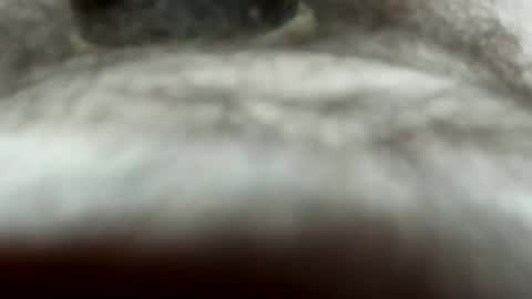 andresexyaf7258 online show from September 24, 6:25 pm