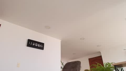 ANDREW WEST online show from March 22, 2:21 pm