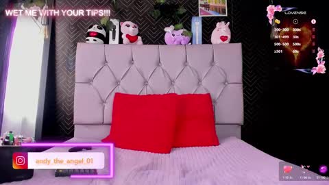 Snapshot of andy_angel1 chatting on February 21, 1:00 pm andy angel online show from February 21, 1:00 pm