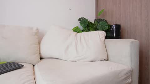 my onlyfans     online show from October 1, 2:38 pm