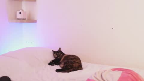 Angel online show from March 18, 3:29 pm