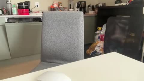 AngelHarly online show from March 8, 10:11 am