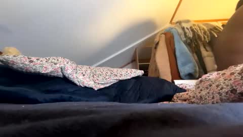 Angelica online show from November 13, 11:40 pm