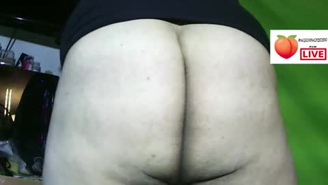 Roy online show from December 16, 3:18 pm