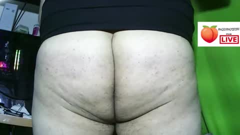 Roy online show from November 24, 11:58 pm