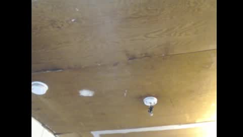 Ani online show from February 25, 2:15 pm