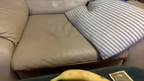 animal_michael online show from December 21, 3:47 am