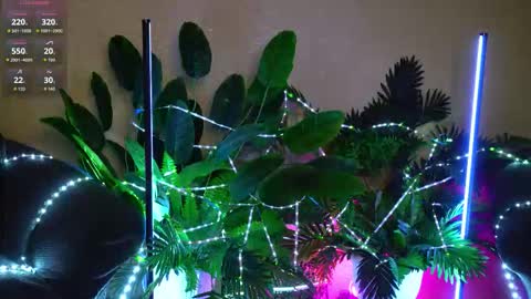 Anita online show from March 10, 5:12 am