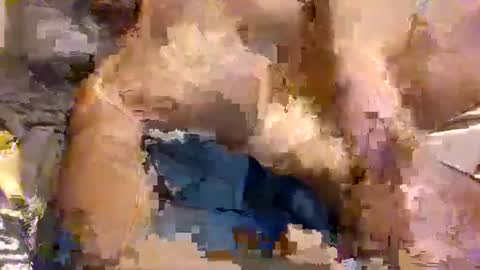 Annibalhibou online show from April 20, 10:02 pm