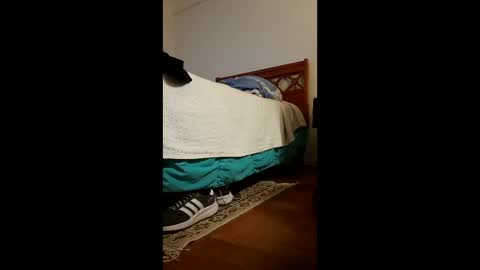 antonino85 online show from April 24, 2:24 am