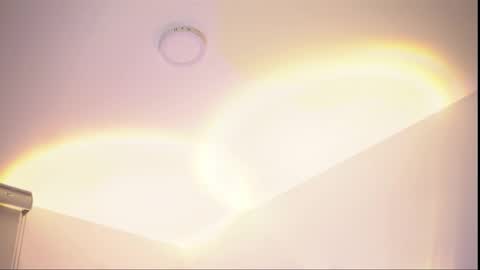 insta appolo master online show from February 24, 4:37 am