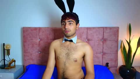 Ares Alpha  online show from November 24, 7:56 pm