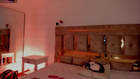 Ari  online show from February 20, 2:00 am