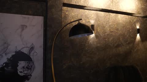 Ariaa online show from December 22, 6:36 pm