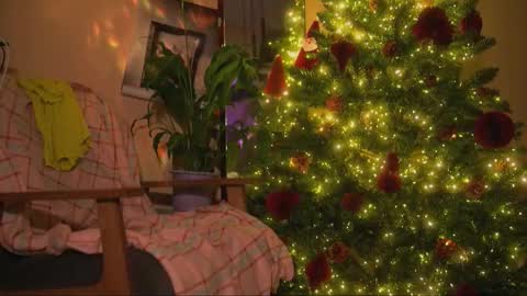 Olivka online show from December 21, 6:53 am