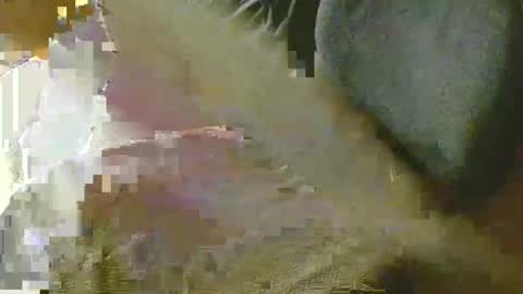 Arnie  online show from December 7, 12:18 pm