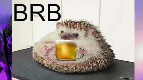 AshleyAshe  online show from February 16, 8:22 pm