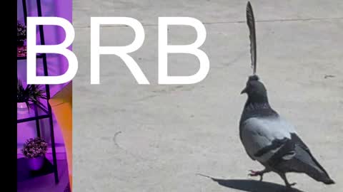 AshleyAshe  online show from March 7, 5:07 am